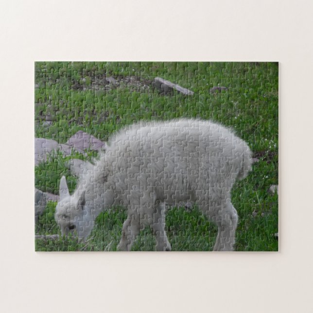 Glacier National Park Baby Mountain Goat Foto (Horizontal)