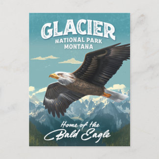 Glacier National Park Bald Eagle Postkarte