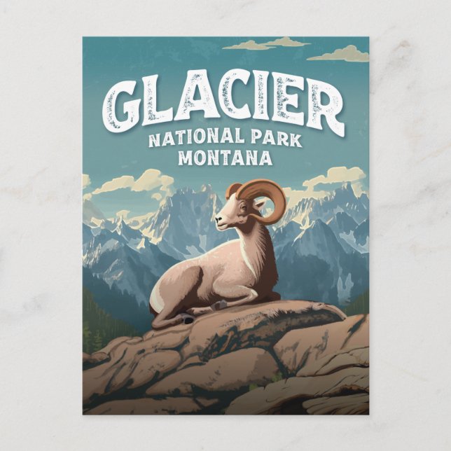 Glacier National Park Bighorn Sheep Postkarte (Vorderseite)