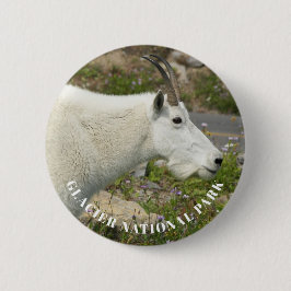 Glacier National Park Mountain Goat Foto Button