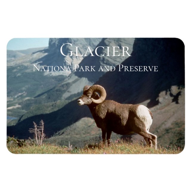 Glacier National Park, MT Magnet (Horizontal)