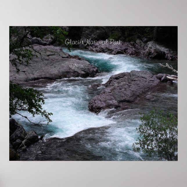 Glacier National Park Woodland Stream Foto Poster (Vorne)
