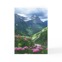 Glacier Nationalpark