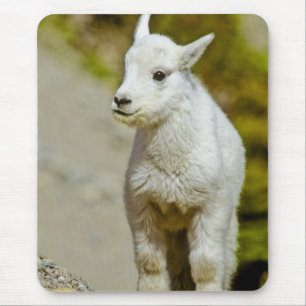 Glacier-Nationalpark, Montana, USA, Berg Mousepad