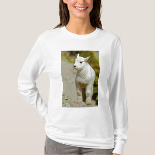 Glacier-Nationalpark, Montana, USA, Berg T-Shirt