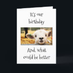 GLAD I WAWING ALT MIT "YOU" AGE SPASS FRIEND KARTE<br><div class="desc">**GLÜCKLICHER GEGENSEITIGER GEBURTSTAG** SAGT DIESES SCHNELLE LAMB!!!! UND VIELLEICHT FÜGE ICH HINZU: "ICH BIN GLÜCKLICH,  DASS ICH MIT DIR ÄLTER WERDE"</div>