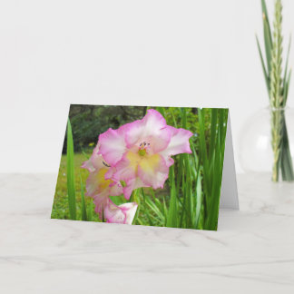 Gladiola denkt an Ihre Karte