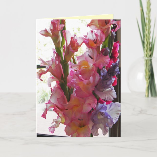 Gladiolas ', das an Sie card denkt Karte (Vorderseite)