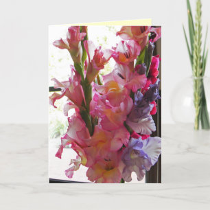 Gladiolas ', das an Sie card denkt Karte