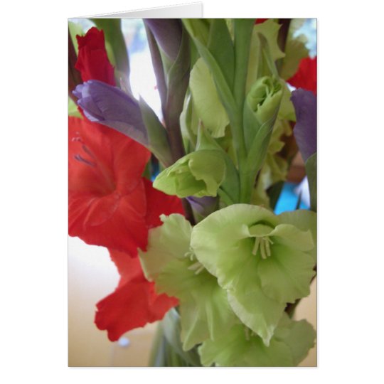 gladiolas PAM Karte