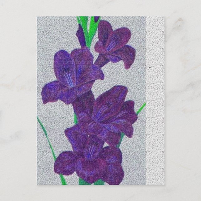 Gladiolenkarte Postkarte (Vorderseite)