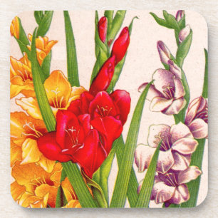 Gladioli-Blume Gladioli-Blume Untersetzer