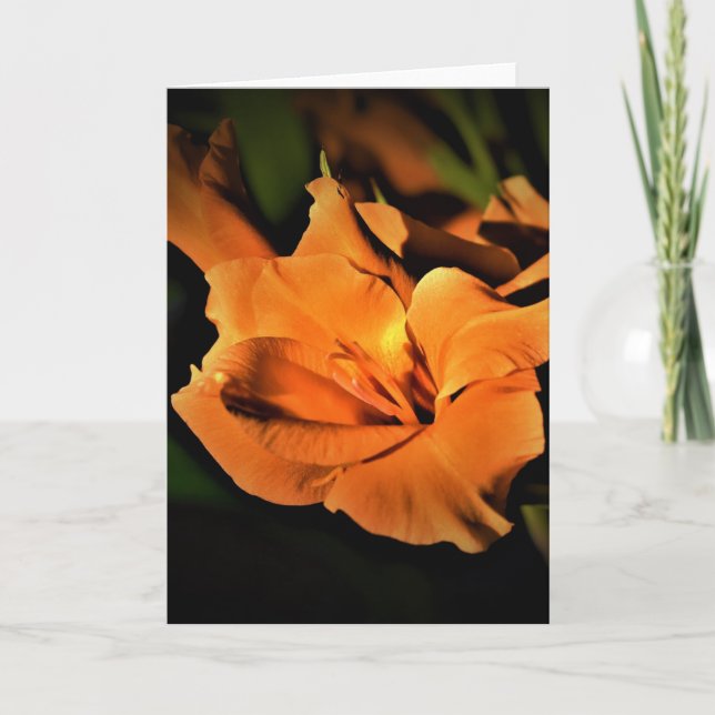 Gladioli, carte (Devant)