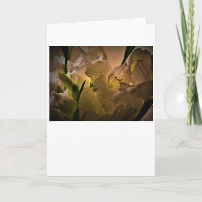 Gladioli, carte (Devant)