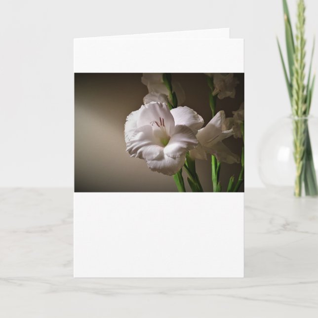 Gladioli, carte (Devant)