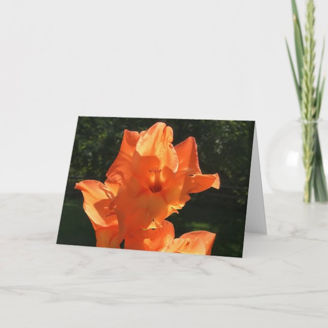 Gladioli, carte (Devant)