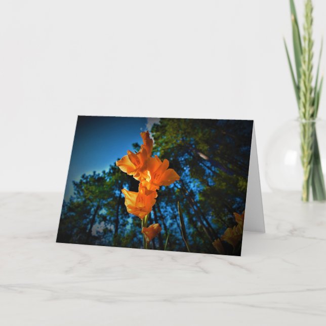 Gladioli, carte (Devant)