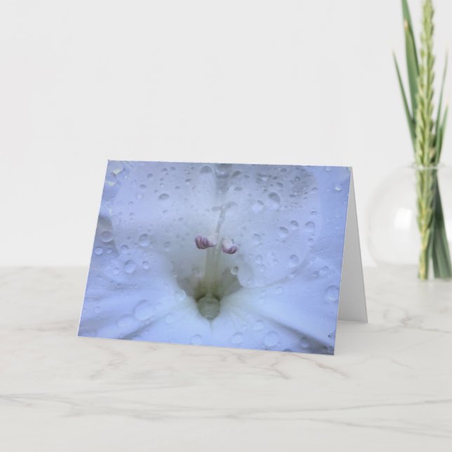Gladioli, carte (Devant)