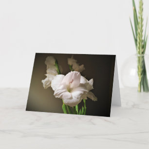 Gladioli, Karte