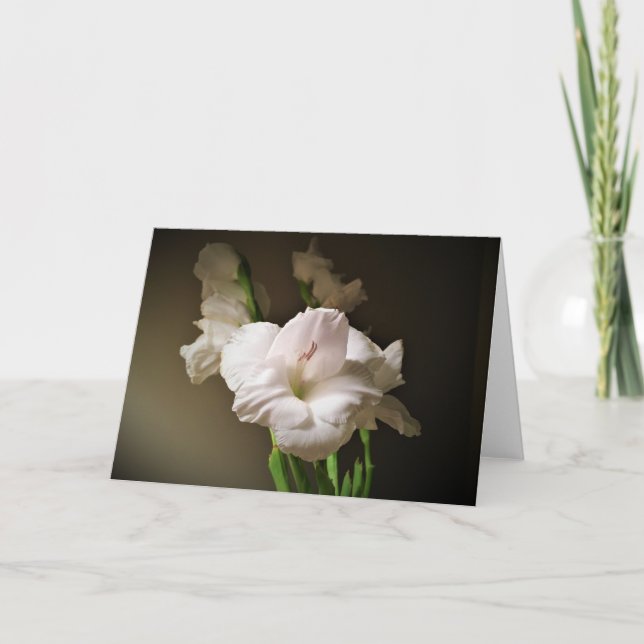 Gladioli, Karte (Vorderseite)
