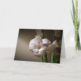 Gladioli, Karte