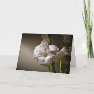 Gladioli, Karte