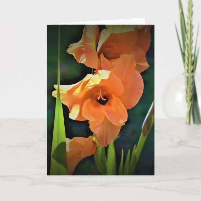 Gladioli, Karte (Vorderseite)