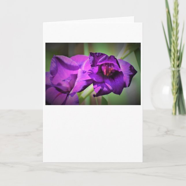 Gladioli, Karte (Vorderseite)