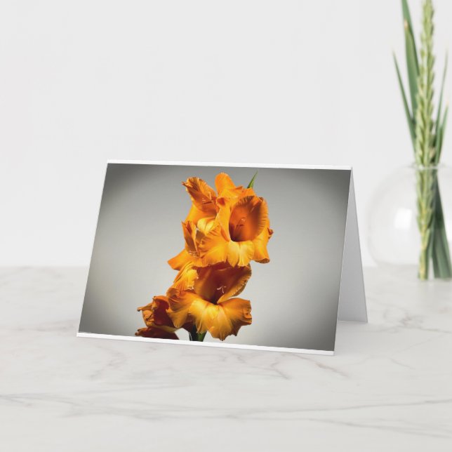 Gladioli, Karte (Vorderseite)