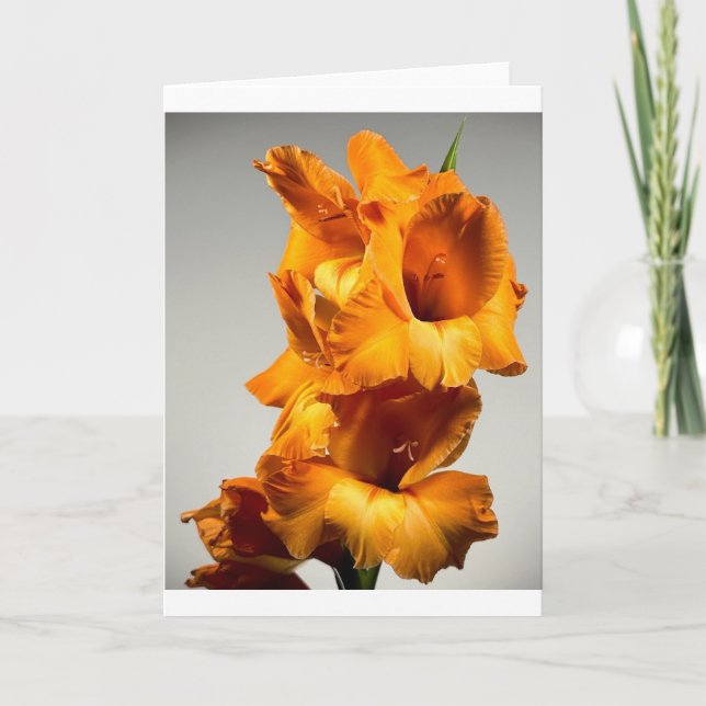 Gladioli, Karte (Vorderseite)