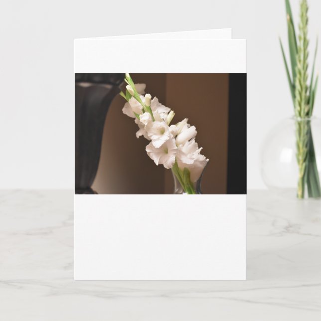 Gladioli, Karte (Vorderseite)