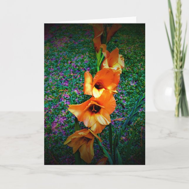 Gladioli, Karte (Vorderseite)