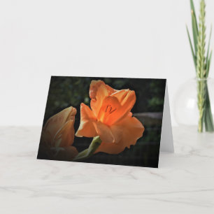 Gladioli, Karte