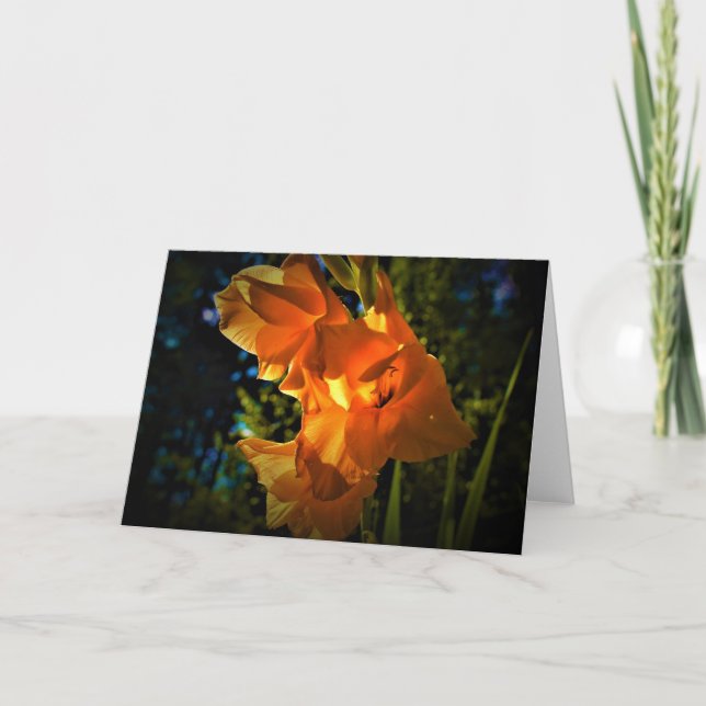 Gladioli, Karte (Vorderseite)