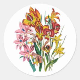 Gladioli Runder Aufkleber