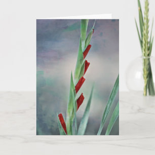 Gladiolus Buds Blume Portrait Note Card Karte