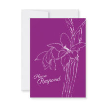 Gladiolus-lila-Maulbeerhochzeit