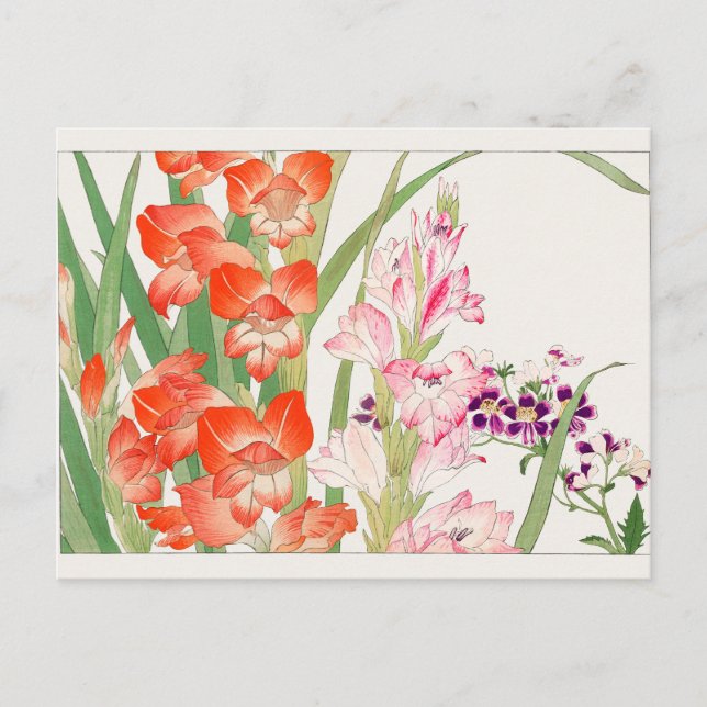 Gladiolus, Schizanthus, von Tanigami Konan Postkarte (Vorderseite)