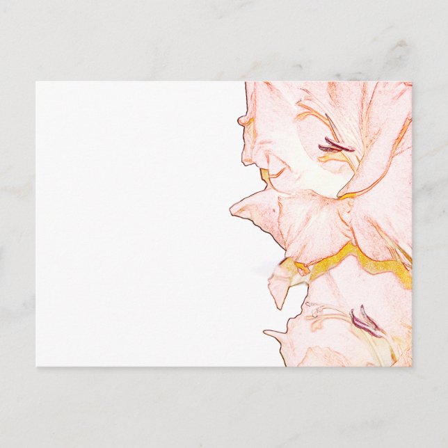 Gladiolusskizze Postkarte (Vorderseite)