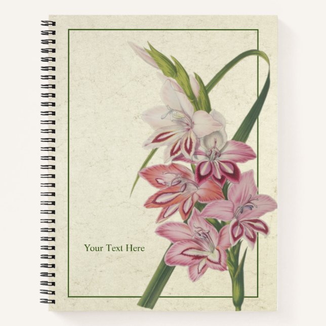 Glaielus Truffaut Notizbuch (Vorderseite)