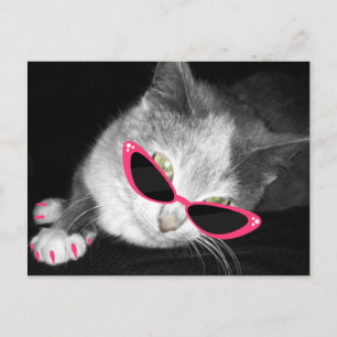Glamour Cat Geburtstagsparty Postcard Einladung