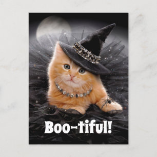 Glamour Witte Kitten Einladungspostkarte