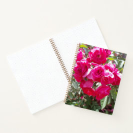 Glamouröses Rosen Bullet Journal Notizbuch