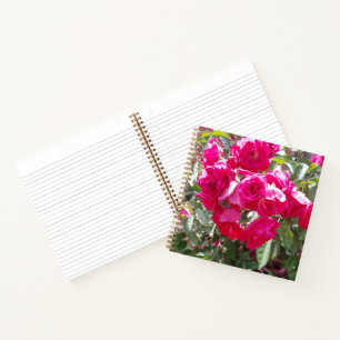 Glamouröses Rosen Notizbuch