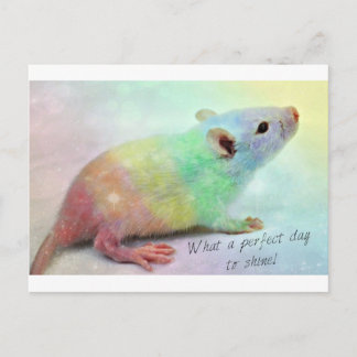 Glanz an! postkarte