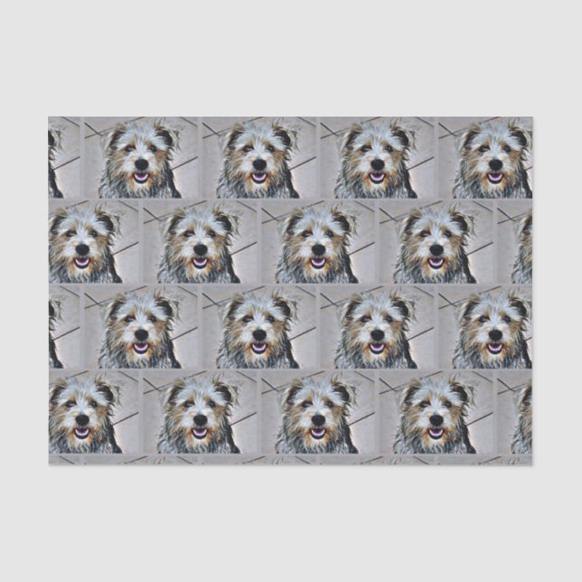 Glanz des Imaal Terrier Seidenpapier (Vorderseite)