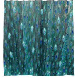 Glänzende aquamarine Pfau-Augen Duschvorhang