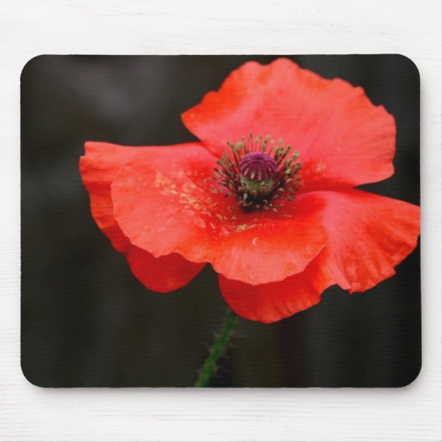 Glänzende rote Mohnblume Mousepad (Vorne)