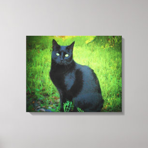 Glänzende schwarze Miezekatze auf Gras Leinwanddruck