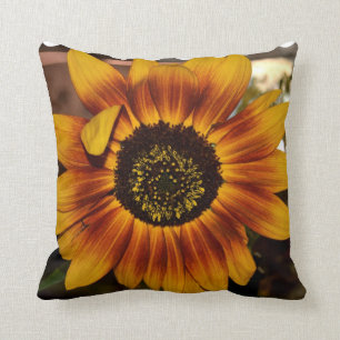 Glänzende Sonnenblume Kissen